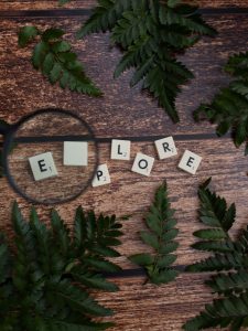 Scrabble letters making up the word explore